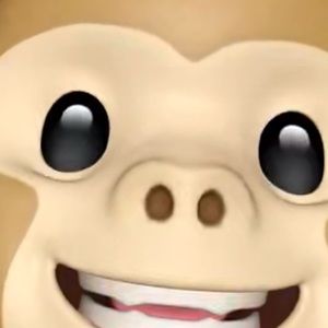 Meet your Posher, Lexie